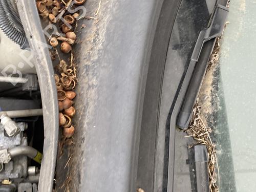 Used Scuttle panel Scuttle panel FIAT PANDA (312_, 319_) 1.2 (312PXA1A) (69 hp) 29732298 29732298