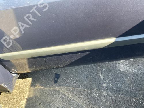 Used Door moulding trim RENAULT SCÉNIC II (JM0/1_) 2.0 dCi (JM1K) (150 hp) 29012967