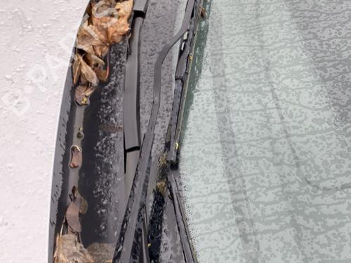 Scuttle panel CITROËN XSARA Coupe (N0) 2.0 HDI 90 | BP32367170C110