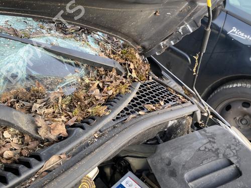 Scuttle panel CITROËN C3 II (SC_) 1.4 | BP32167742C110 - Image 3