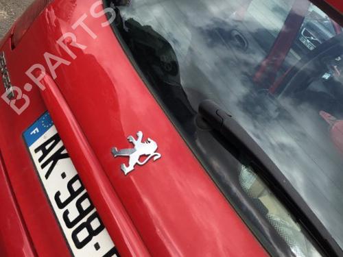 Bagklap CC/Kombi-Coupé PEUGEOT 206 Hatchback (2A/C)  | BP22125351C6 