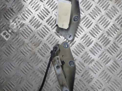Used Hinge/Door check strap Hinge/Door check strap CITROËN C3 I (FC_, FN_) [2002-2013] 22112216 22112216