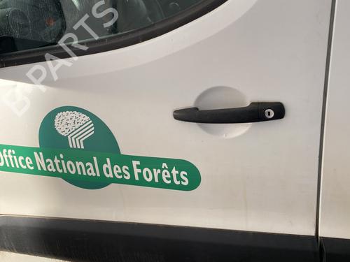 Dør venstre fortil CITROËN BERLINGO MULTISPACE (B9) 1.6 HDi 110 (109 hp) 31041475