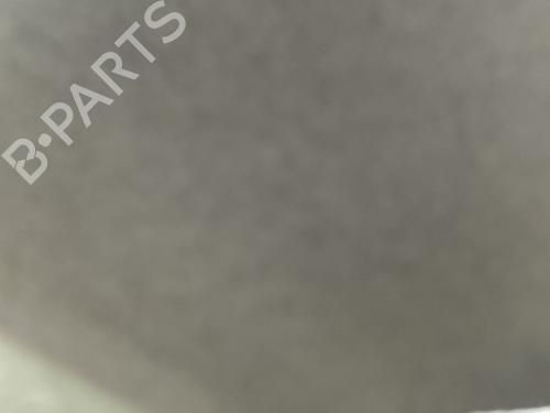 Tecto interior Tecto interior RENAULT RAPID Box Body/MPV (F40_, G40_) 1.9 D (F40P, F40N, F40E) (64 hp) 25270809 25270809