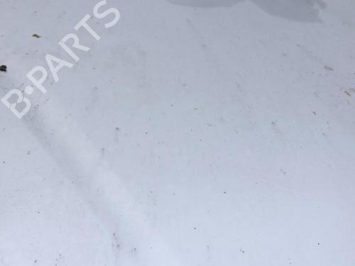 Hood HONDA ACCORD VII (CL, CN) 2.2 i-CTDi (CN1) | BP22115156C1 