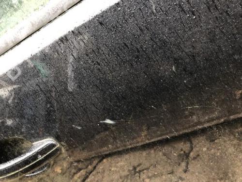 Dør høyre bak FORD C-MAX (DM2) 1.6 TDCi | BP22118828C5 