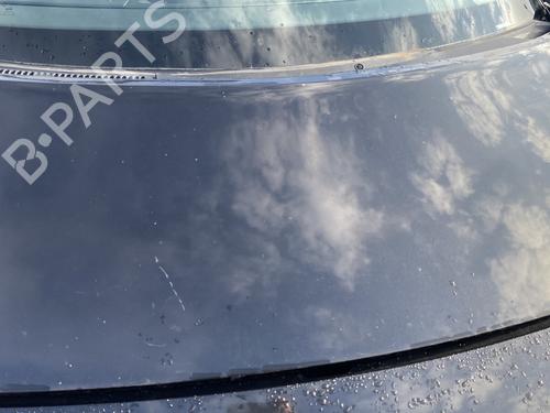 Hood RENAULT SCÉNIC II (JM0/1_) 1.5 dCi (JM02, JM13) | BP23784446C1 