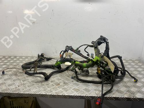 Used Wiring harness Wiring harness PEUGEOT 406 (8B) 2.0 HDI 110 (109 hp) 40064120 40064120
