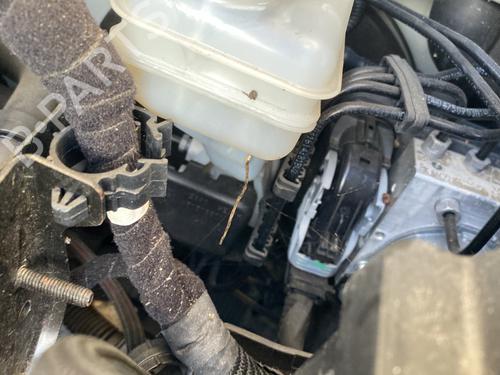 bomba-de-freno-fiat-punto-199_-2012-31639711 main image