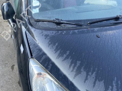 Hood PEUGEOT 207 CC (WD_) 1.6 16V | BP22126082C1