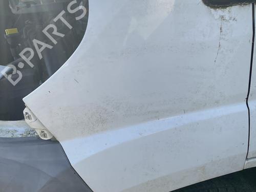 Left front fenders FIAT DUCATO Van (250_) 150 Multijet 2,3 D | BP29969698C41