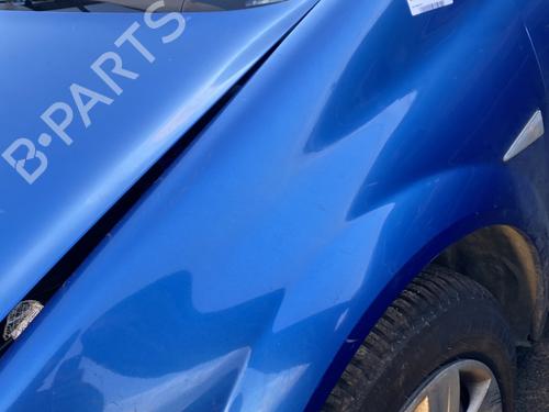 Left front fenders RENAULT MEGANE II (BM0/1_, CM0/1_) 1.9 dCi (BM0G, CM0G) | BP21797981C41 