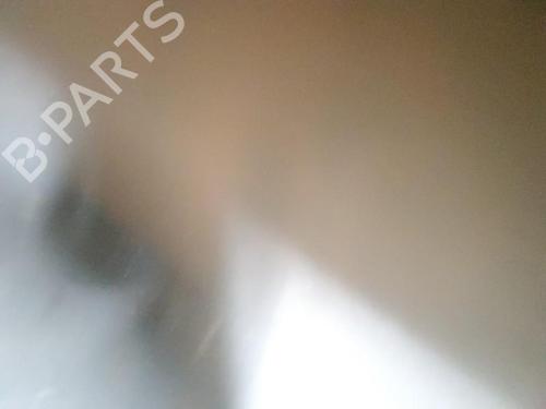Left front door RENAULT TRAFIC II Van (FL) 2.5 dCi 145 (FL0J) | BP22120714C2 