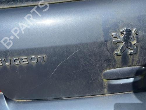 Tailgate PEUGEOT 307 (3A/C) 1.6 HDi 110 | BP22121643C6