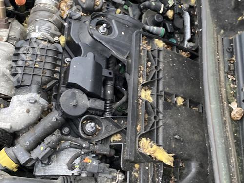 Motor CITROËN DS3 (SA_) 1.4 HDi 70 (SA8HP4) (68 hp) 31050621