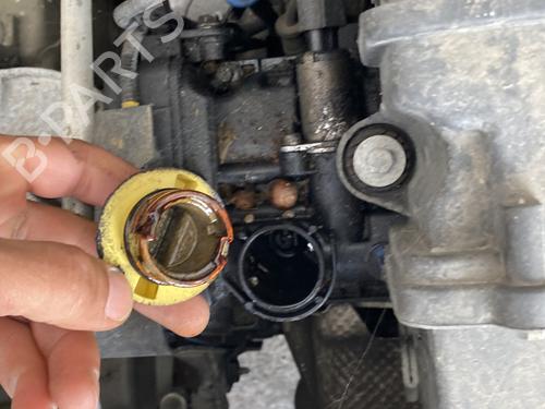 Engine FIAT PANDA (312_, 319_) 1.2 (312PXA1A) | BP29732297M1 