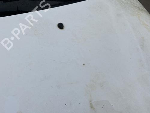 Hood CITROËN DS3 (SA_) 1.6 HDi 90 | BP24544000C1 