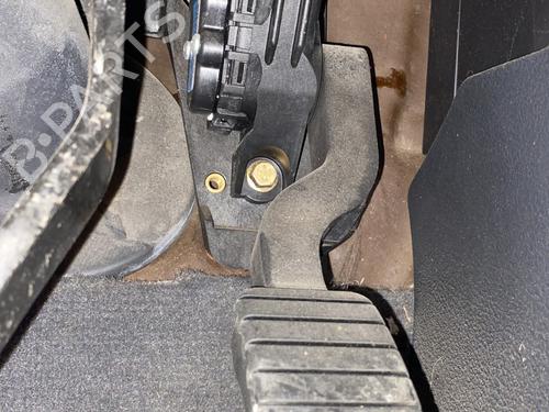 Used Pedal RENAULT LAGUNA II (BG0/1_) 2.0 16V (BG00, BG0K, BG0P, BG0W) (135 hp) 30150056