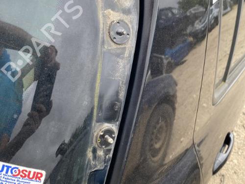 Tailgate RENAULT CLIO III (BR0/1, CR0/1) 1.5 dCi | BP22122684C6