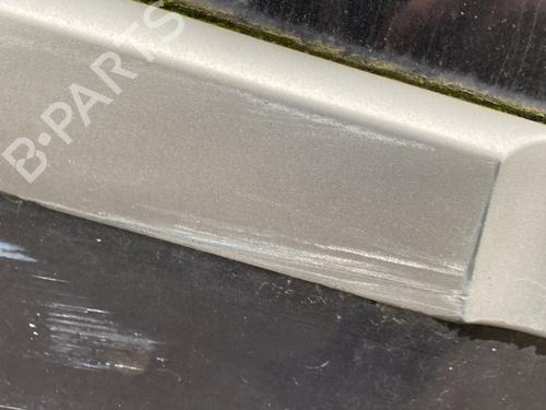 Dørliste RENAULT GRAND SCÉNIC II (JM0/1_) 2.0 dCi (JM1K) | BP29913651C150