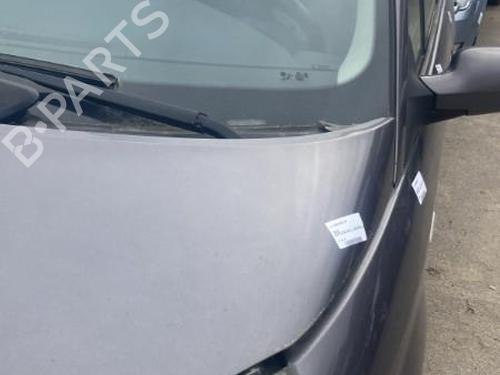Panser RENAULT SCÉNIC II (JM0/1_) 1.5 dCi (JM1F) (86 hp) 22119918