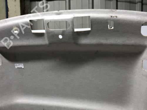 Tetto interno RENAULT KANGOO Express (FW0/1_) 1.5 dCi 90 (FW0G, FW05, FW08, FW11) (90 hp) 21373471