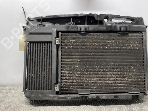 Used Front slam panel PEUGEOT 207 (WA_, WC_) 1.6 HDi (90 hp) 30646619