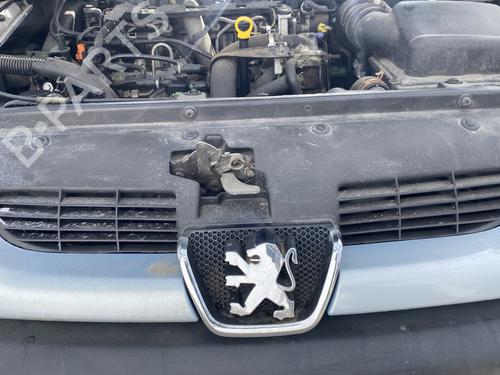 Used Grille PEUGEOT 206 Hatchback (2A/C) 2.0 HDI 90 (90 hp) 26006445