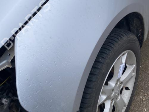 Left front fenders MITSUBISHI GRANDIS (NA_W) 2.0 DI-D (NA8W) | BP30646596C41