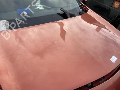 Hood RENAULT MEGANE II (BM0/1_, CM0/1_) 1.6 16V (BM0C, CM0C) | BP22127215C1 