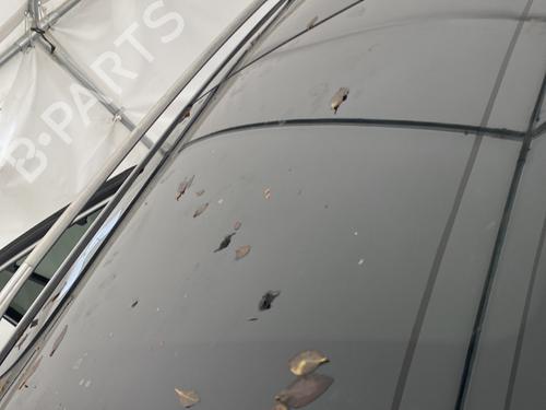 Schiebedach für RENAULT KOLEOS I (HY_) 2.0 dCi 4x4 (HY0K) (150 hp) 31969641