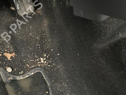 Pedal DACIA LOGAN (LS_) 1.6 (LS0B, LS0D, LS0F, LS0H) (87 hp) 33054490