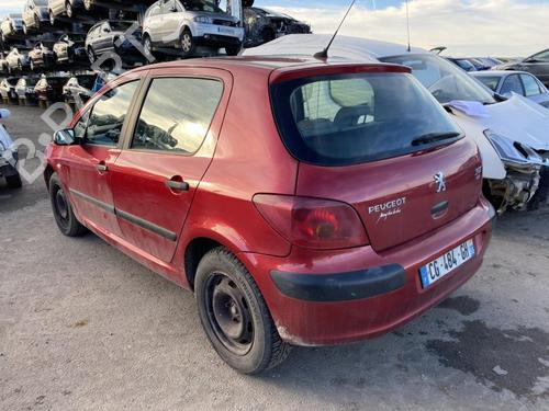 Left rear door PEUGEOT 307 (3A/C) 2.0 HDi 90 | BP19912262C4 