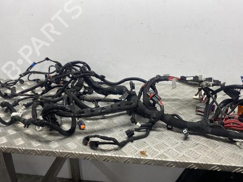 Ledningsnet RENAULT KANGOO Express (FW0/1_) 1.5 dCi 95 (FW16) (95 hp) 32218224