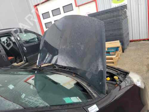 Hood RENAULT CLIO III (BR0/1, CR0/1) 1.2 16V (BR02, BR0J, BR11, CR02, CR0J, CR11) | BP20174273C1 