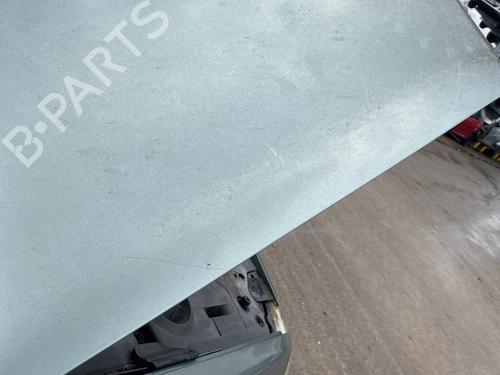 Hood RENAULT MEGANE II Coupé-Cabriolet (EM0/1_) 1.9 dCi | BP29910780C1