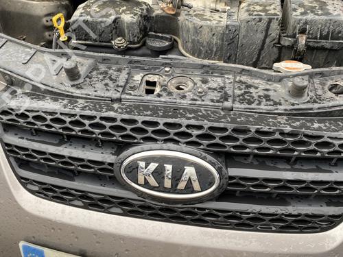 Grill Grill KIA PICANTO I (SA) 1.0 (63 hp) 31919254 31919254