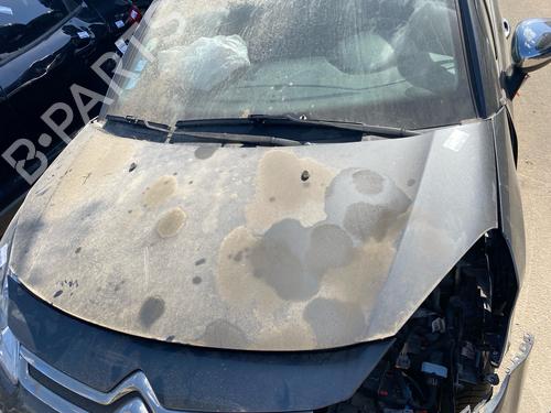 hood-citroen-c3-ii-sc_-2009-36095181 main image