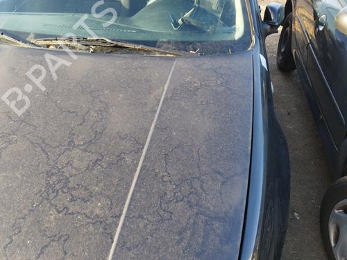 Hood VW GOLF IV (1J1) 1.9 TDI | BP21824047C1 
