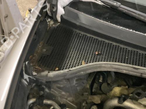 Scuttle panel RENAULT CLIO III (BR0/1, CR0/1) 1.5 dCi (BR17, CR17) | BP22115916C110 