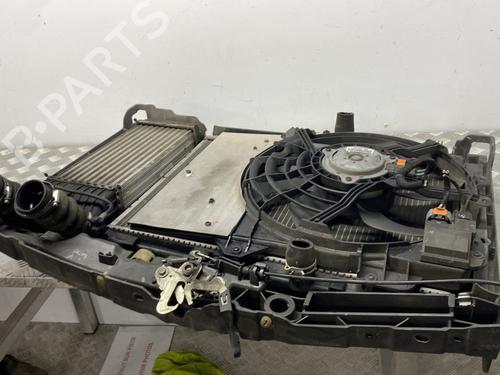 Front slam panel PEUGEOT 207 (WA_, WC_) 1.6 HDi | BP29214018C72 