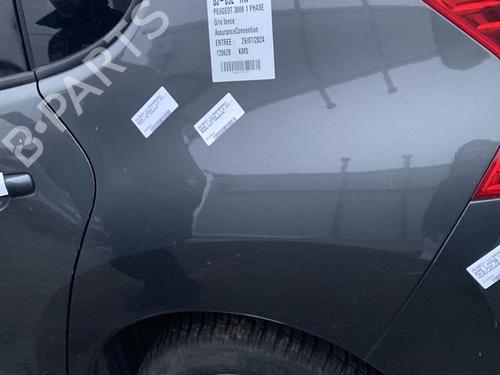 Left rear fenders PEUGEOT 3008 I MPV (0U_) 1.6 HDi | BP22200339C43 