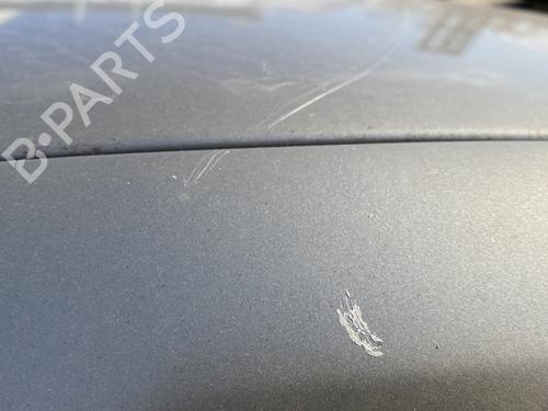 Right front door RENAULT CLIO III (BR0/1, CR0/1) 1.5 dCi (BR17, CR17) | BP29571776C3 