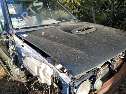 Used Hood NISSAN TERRANO II (R20) 2.7 TDi 4WD (125 hp) 22118134