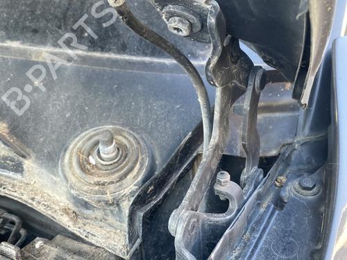 Used Hinge/Door check strap BMW 1 (E81) 120 d (177 hp) 25594958