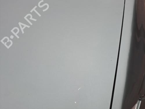 Hood RENAULT MEGANE II (BM0/1_, CM0/1_) 1.5 dCi (BM02, BM13, BM2A, CM02, CM13) | BP21260202C1 