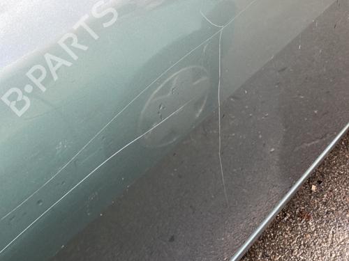 Right front door RENAULT MEGANE II Coupé-Cabriolet (EM0/1_) 1.9 dCi | BP29910787C3