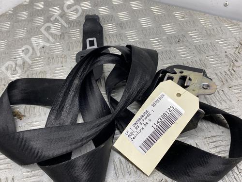 Rear left belt tensioner AUDI A3 (8V1, 8VK) 1.6 TDI | BP29829394C89