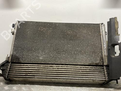 Used Front slam panel RENAULT LAGUNA III (BT0/1) 1.5 dCi (BT00, BT0A, BT0T, BT1J) (110 hp) 28589263