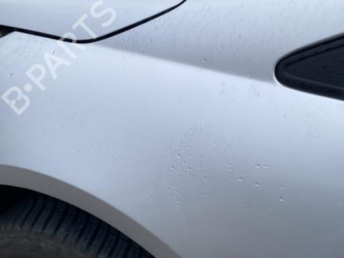 Left front fenders MITSUBISHI GRANDIS (NA_W) 2.0 DI-D (NA8W) | BP30646596C41